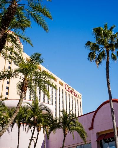 The corner of the Rosen Centre hotel with palm trees in the foreground. 