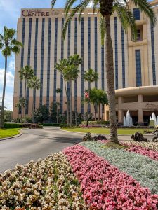 A view of the Rosen Centre hotel with palm trees and flowers lining the entrance. After attending a January 2025 event at the Orange County Convention Center, relax and unwind in style at the Rosen Centre. 