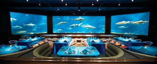 A view of Sharks Underwater Grill and Bar at Seaworld featuring restaurant tables inside of a giant aquarium filled with sharks. 